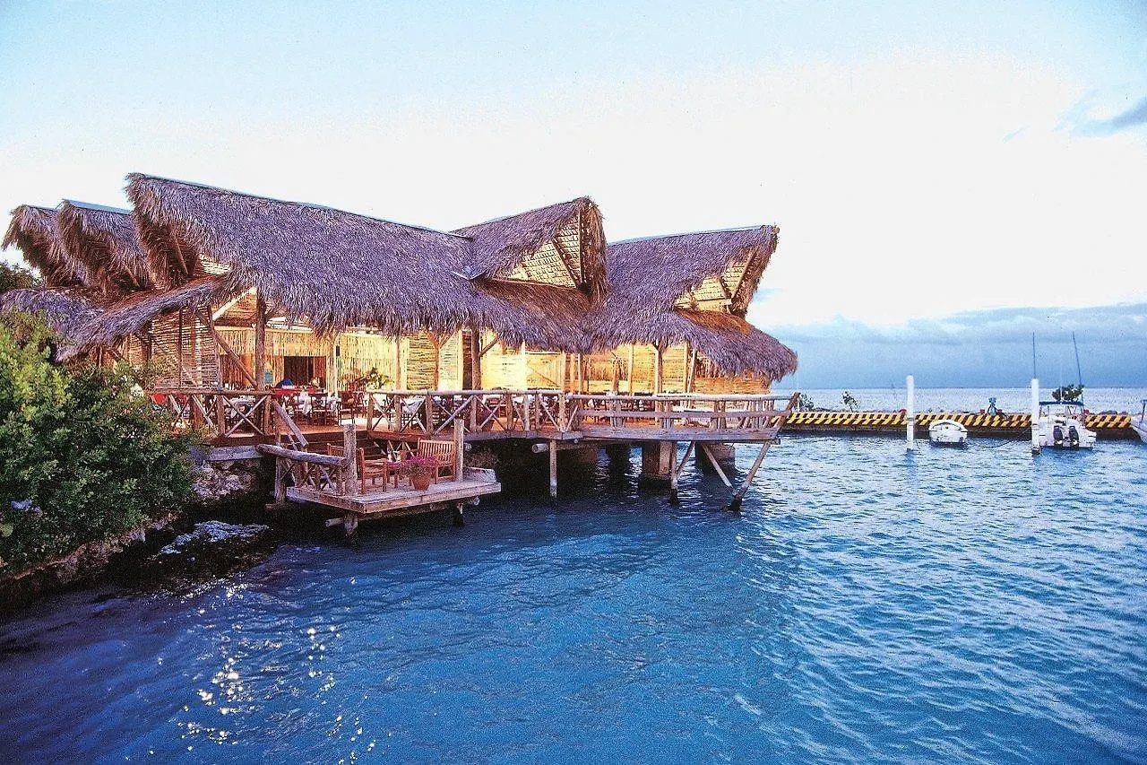 Tortuga Bay, Punta Cana Resort
